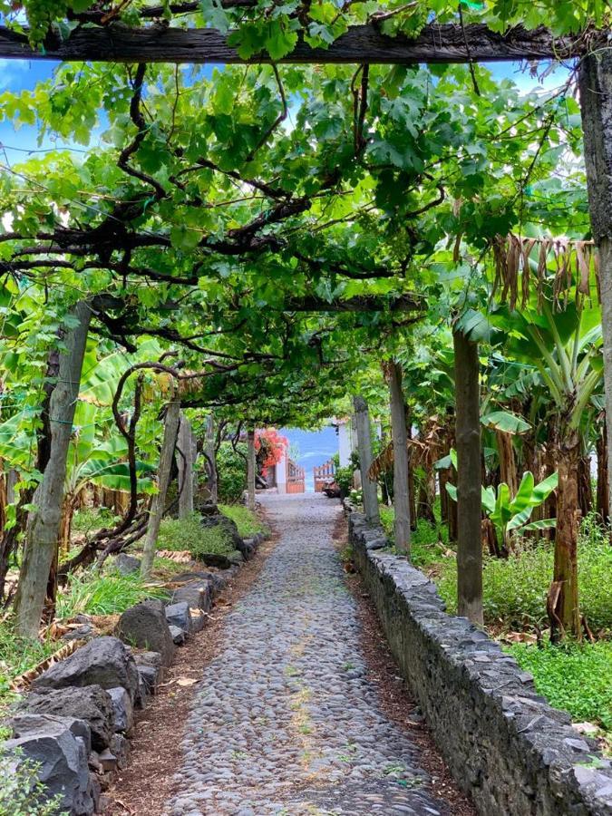 Faja dos Padres Ribeira Brava Exterior foto