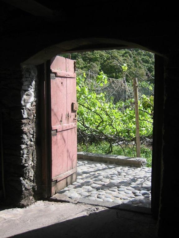 Faja dos Padres Ribeira Brava Exterior foto